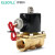 伊莱科（ELECALL）铜制耐高温电磁阀水阀油阀气阀常闭型 AC220V 4分(2W-160-15) 耐高温150度