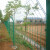 腾驰（CT） 绿色浸塑双边丝护栏网 铁丝网围栏高速公路铁路护栏隔离网厂区护栏 双边3.5+预埋柱 1.0mm注塑