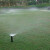青意萱雨鸟1804自动升降散射喷头花园喷灌地埋式草坪灌溉浇水1812 1804体+6VAN喷嘴