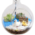 葵优桌面苔藓微景观小花盆栽鲜活植物生态玻璃瓶DIY材料包 可爱狗狗斜 龙猫池塘切口10厘米