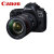 佳能（Canon） 5d4 EOS 5D4 Mark IV 全画幅专业高级单反摄影像照相机 EF 24-105mm  f4 II IS USM