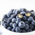 京诗悦新鲜蓝莓当季孕妇水果蓝莓中的大果4盒装（单盒125g） 6盒装（单盒125g)