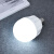 欧普照明 LED灯泡节能灯泡 E27大螺口通用大功率光源 20瓦白光 企业订单 个人勿拍 个人订单请咨询客服