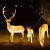 博雷奇LED大型动物景观灯发光梅花鹿草坪灯公园广场园林景观灯户外亮化 鹿爸爸