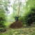 竹老式扫帚农村竹丝庭院笤帚扫把户外环卫通用大老式扫院子 鬃毛扫帚 长1.4米