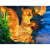 博雷奇太阳能发光松鼠灯LED小品动物灯户外防水园林公园装饰景观草坪灯 棕色A款松鼠灯接电 450MM*480MM