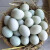 【现捡现发】鄱湖鸭舍 绿壳新鲜鸭蛋30枚60-70克/枚无公害生态养殖青皮生鸭蛋