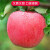 静宁苹果 甘肃红富士苹果水果 新鲜应季静宁苹果现摘 15-16枚85大果净重8.5斤
