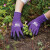 园艺手套仙人掌防刺防水防扎防滑耐磨加厚园林劳保工作种花护手 紫色 XS