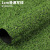仿真人造草坪地毯户外假草皮人工塑料绿色装饰幼儿园围挡工程垫子 1.0cm果绿特密特厚 防晒10