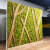 永生苔藓植物墙白发藓块真苔藓绿植墙干花背景墙青苔鹿蕊藓植物墙 定制费