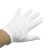勒塔（LETA） 礼仪手套马术魔术保安国宾司机驾驶员白手套10付装 LT-PPE577