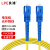 良浦 电信级单模万兆光纤跳线 单模单芯Φ3.0（SC-SC，9/125）1米 NG-1SC-SC-S1