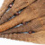 金诗洛 JZT-0043 工业用棕扫把 木柄棕树皮扫把 棕毛扫帚扫把 优质棕毛扫把