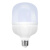 远波 LED灯泡E27螺口球泡白光高亮节能电灯泡 30W