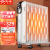 先锋（Singfun）取暖器 电暖器 电暖气家用 电油汀 13片热浪专利电热器 节能省电 干衣加湿 DYT-SS2