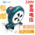 鼓风机220V炉灶鼓风机小型鼓风机烧烤助燃鼓风机定制 上海式铸铁200W+调速器 离心120W+调速器