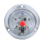 百瑞川 YNXC-100ZT 40MPa抗震电接点压力表 耐震轴向磁助式电接点压力表 备件（定制） 40MPa 