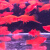 红箭观赏鱼活体热带鱼发财鱼胎生鱼孔雀鱼米奇鱼生小鱼练手鱼好养 杂袍孔雀鱼10备5共15条