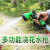 康丽雅 K-2331 四分清洁水管 物业园林绿化浇花灌溉水管 20米