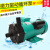 新西山MP-100R.RX磁力叶轮驱动泵工程塑料耐腐蚀循环泵磁力泵 MP-100RM-220V(螺纹接口)