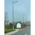 新农村5米8米10米双头市电路灯户外高杆灯小区道路灯 7米50W单头市电款式
