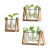 法漫玫创意烧杯水培木架容器绿萝植物玻璃花瓶办公室桌面摆件插花瓶装饰 复古单边+植物