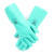 雷克兰EN15F丁腈橡胶防化手套防油耐酸碱抗撕裂防滑劳保手套（有衬里） 绿色33cm 9码