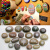 苏墨画画石创意绘画石彩绘鹅卵石成人儿童学校手绘DIY卡通装饰小石头 精挑灰色10颗2-4CM