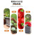 环球（HUAN QIU） 长方形花盆户外蔬果种植盆 家用阳台室内种花种菜塑料长槽盆 红棕色（带托盘）