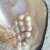 萨拉拉珍珠蚌自己开鲜活活体养殖自己开特大珍珠蚌壳蚌苗大河蚌多珠蚌 4个送本品1个 以开出为准
