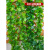 战舵仿真藤条绿萝叶假树叶室内空调水管道装饰缠绕遮挡塑料花藤蔓绿叶 135叶过胶富贵叶2条