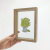 quatrefoil 透明木质双面玻璃相框植物标本立体画框 原木色6寸