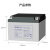 理士电池DJW12-24(12V24Ah)工业级铅酸免维护蓄电池 UPS电源 EPS直流屏专用 DJW12-24(12V24Ah) 