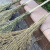 铸固 竹扫把 环卫大号竹子扫把工厂马路物业车间地面扫帚扫地笤帚 铁杆塑料丝2.4斤210*60cm