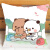 溪悦（SHEWILL）一二布布抱枕周边可爱熊猫卡通枕头情侣创意靠枕送学生日礼物 5-双面同图 40*40厘米