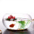 办公室迷你小鱼缸创意水族箱加厚透明玻璃乌龟缸客厅家用桌面圆形迷你造景水培花瓶小型金鱼缸 20号 鼓缸+5件套