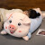 惠妮宝贝 毛绒玩具猪公仔大号趴趴猪娃娃床上玩偶长条睡觉抱枕送女生礼物 趴猪  开心每一天 1.2米