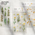 花之系列 PET平张贴纸包手账手账贴纸少女心可爱创意花卉 蕨