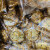 南美豹广西巴马特产火麻饼杂粮饼坚果脆香脆独立包装代餐早餐营养500克 1kg 满足一斤装甜味