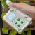 叶绿素检测仪测定仪植物营养测量计手持式叶面无损氮含量测量仪器 HM-YC型