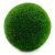 幸福海藻球苔藓桌面微景观生态瓶办公室内迷你水培植物花卉 10岁；3～3.5CM*1颗