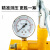 梵选 手动试压泵ppr水管打压机增压泵地暖测压泵 单位：个 25KG 