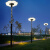 太阳能户外灯一体式超亮防水家用别墅高杆灯小区公园景观灯 太阳能祥云灯-中号+3米雕花灯杆