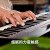 Novation诺维逊Launchkey MK3 MIDI键盘 控制器 迷笛键盘 Launchkey 25键MIDI键盘