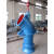 定制200ZLB10YZ轴流泵水泵不锈钢长轴式大流量灌溉高扬程铸铁议价 8YZ 200ZLB带55KW电机