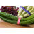 蔬菜捆扎带超市捆绑带扎菜带绿色紫蓝红色生鲜印字胶带定做 带字新鲜红1.2*50米