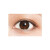 日本直邮 LUMIA14.2mm日抛美瞳彩色隐形眼镜美瞳 10片装 1#Brunette Olive 75