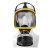 梅安防毒面具全面罩 喷漆农药化工专用有毒气体消防粉尘异味防毒面罩 面具+7号小滤毒罐
