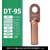 郦狼  DT铜鼻子接线端子（23.9.25） 国标DT-95/1只